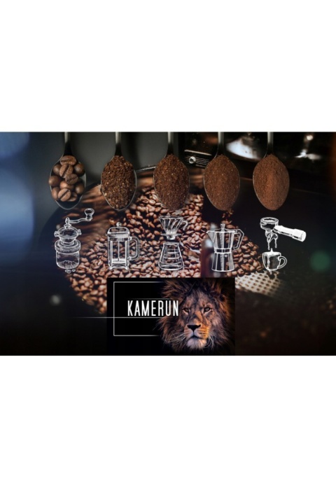 Kawa mielona KAMERUN 250G