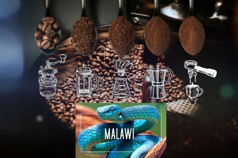 Kawa mielona Malawi 500g