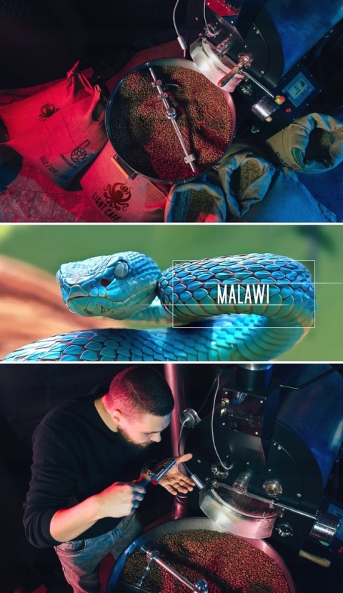 Kawa mielona Malawi 500g