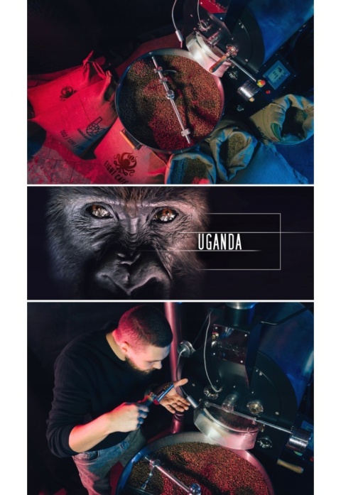 Kawa ziarnista UGANDA 500G