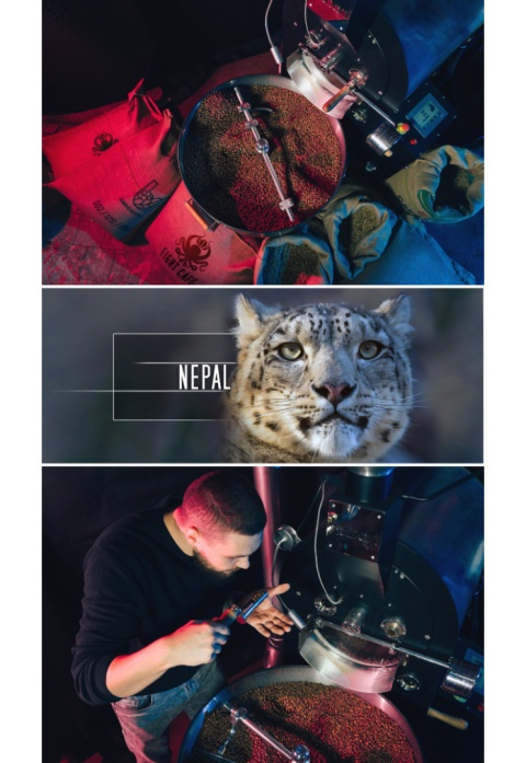 Kawa mielona NEPAL 500kg