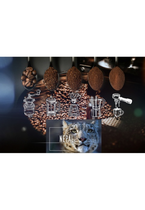 Kawa mielona NEPAL 500kg