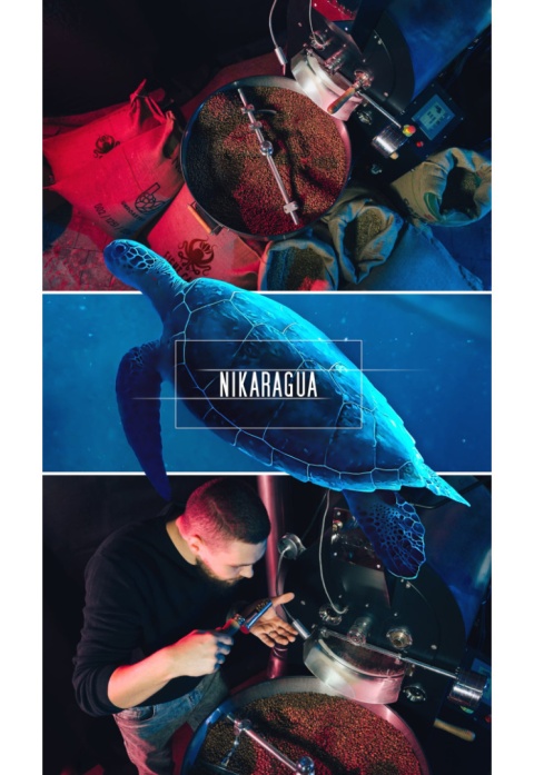 Kawa mielona NIKARAGUA 500kg