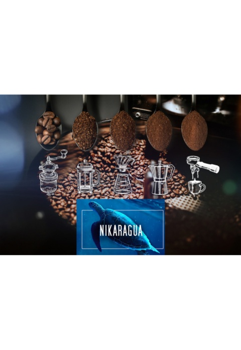 Kawa mielona NIKARAGUA 500kg