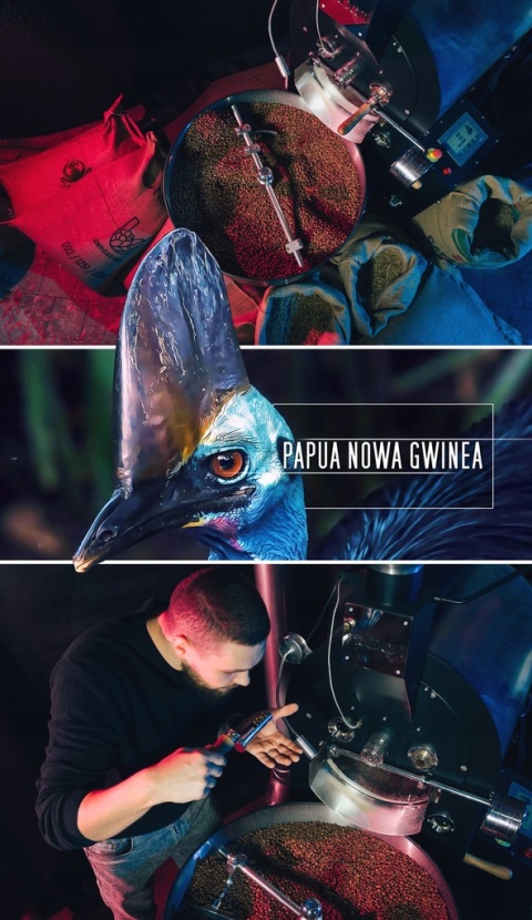 Kawa mielona PAPUA NOWA GWINEA 500g